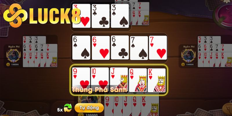 Mậu binh xập xám và hành trình phát triển đầy hấp dẫn